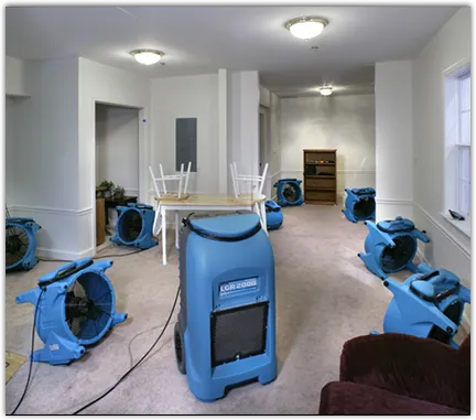 Drying & Dehumidification in Clive, IA