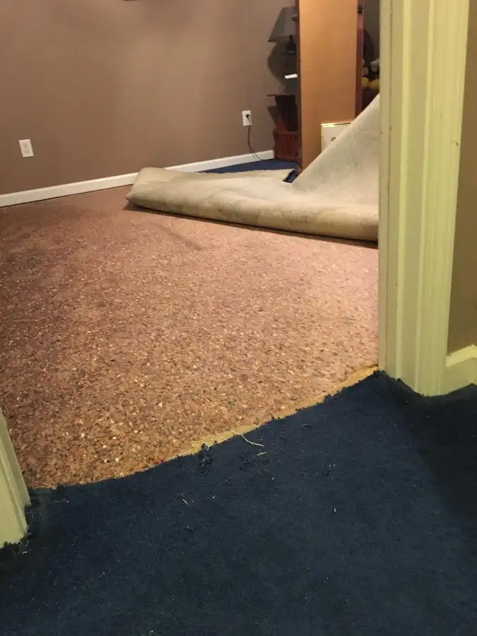 Carpet pad removal revealing water damage during Drying & Dehumidification in Clive