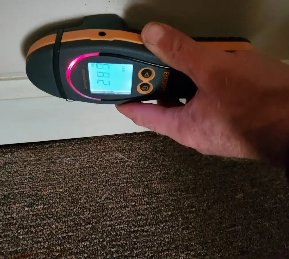 Moisture detection at baseboard during Sewage Cleanup & Sanitation in Clive